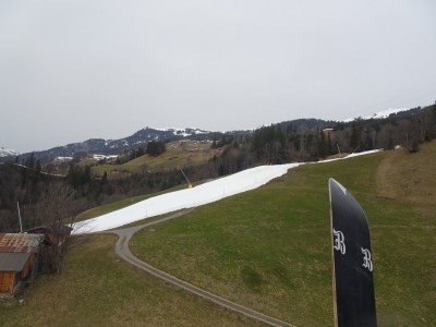 Meiringen 03 03 21 (4).JPG