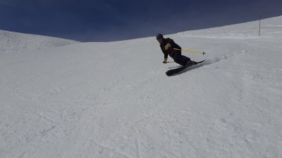 monoski