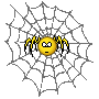 Spider :spider:
