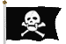 Pirate :pirate